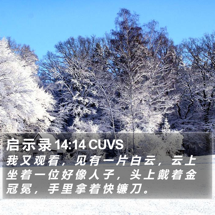 启 示 录 14:14 CUVS Bible Study