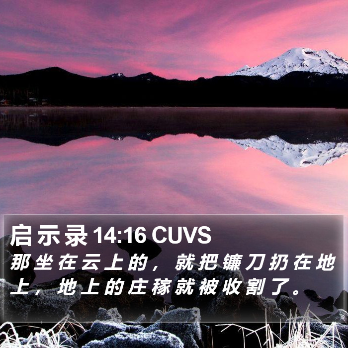 启 示 录 14:16 CUVS Bible Study
