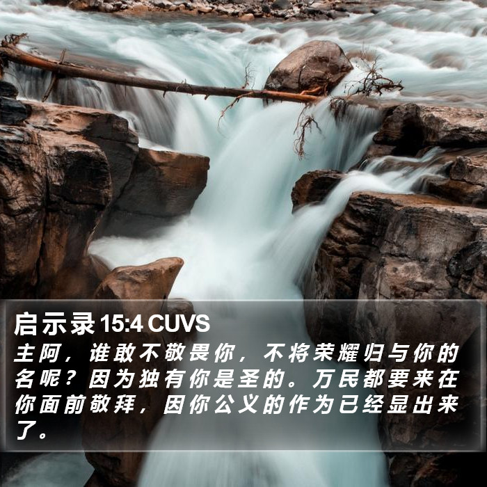 启 示 录 15:4 CUVS Bible Study