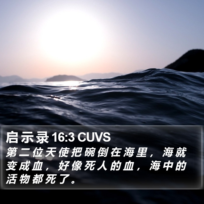 启 示 录 16:3 CUVS Bible Study
