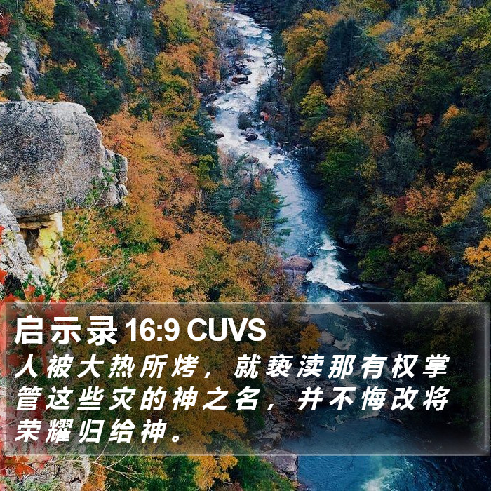 启 示 录 16:9 CUVS Bible Study