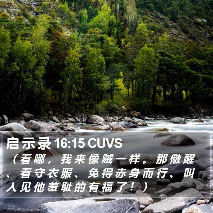 启 示 录 16:15 CUVS Bible Study