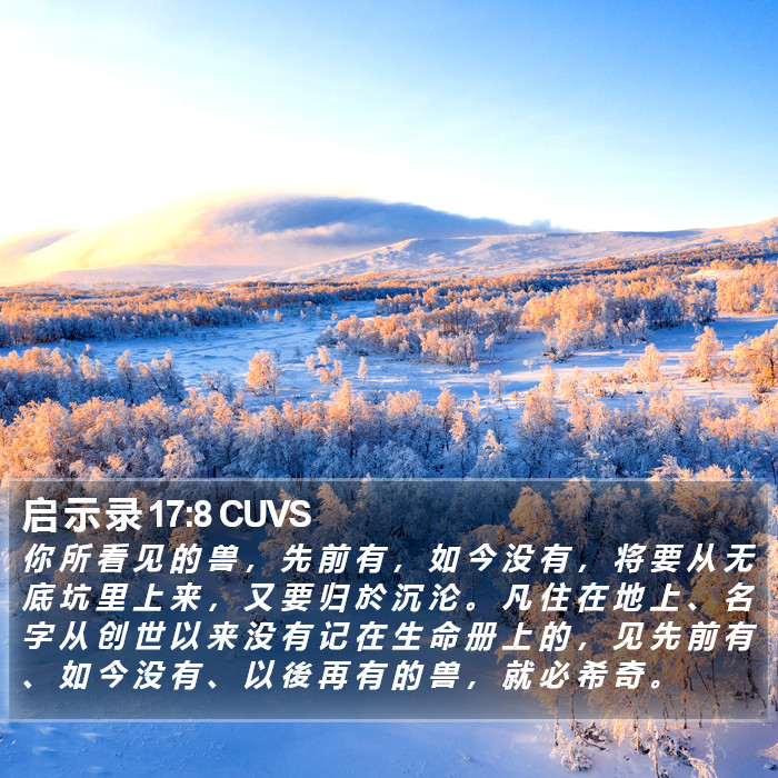 启 示 录 17:8 CUVS Bible Study
