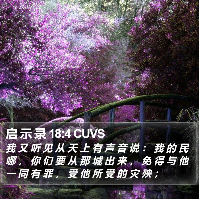 启 示 录 18:4 CUVS Bible Study