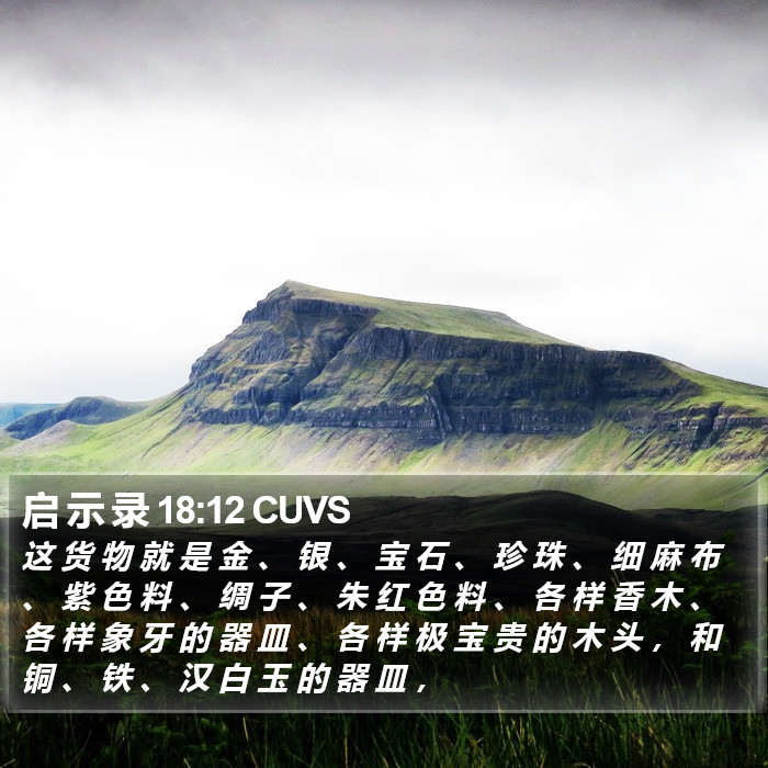 启 示 录 18:12 CUVS Bible Study