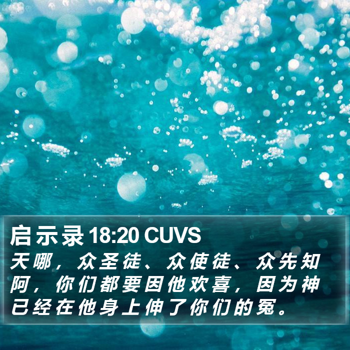 启 示 录 18:20 CUVS Bible Study