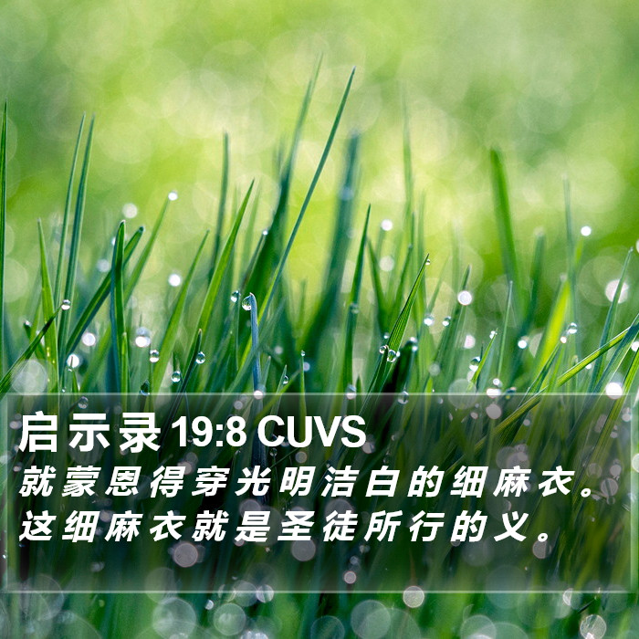 启 示 录 19:8 CUVS Bible Study