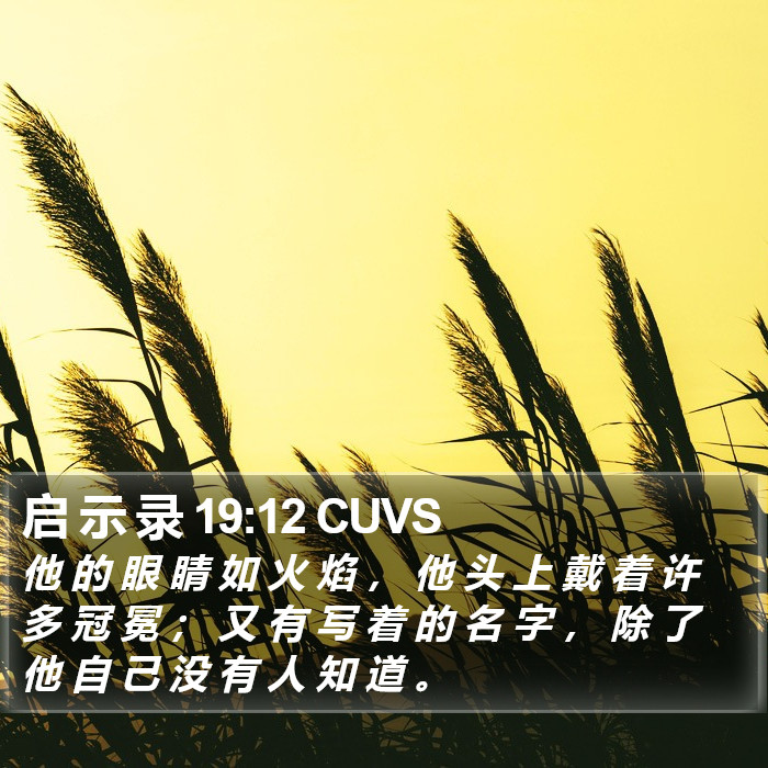 启 示 录 19:12 CUVS Bible Study