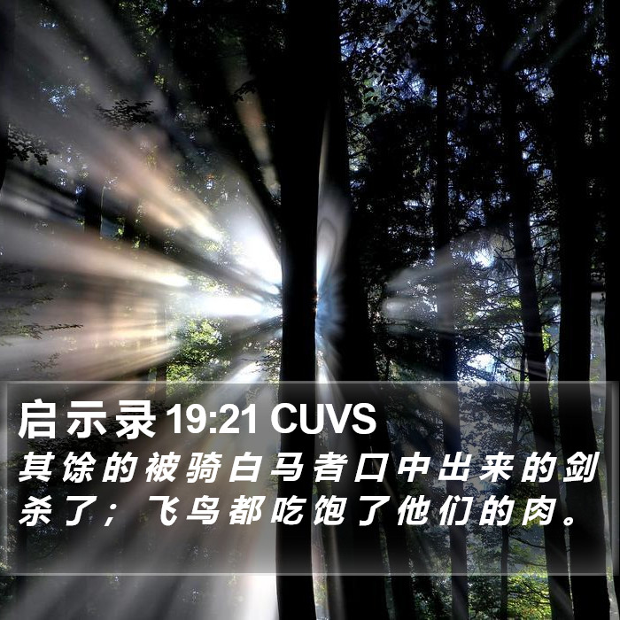 启 示 录 19:21 CUVS Bible Study