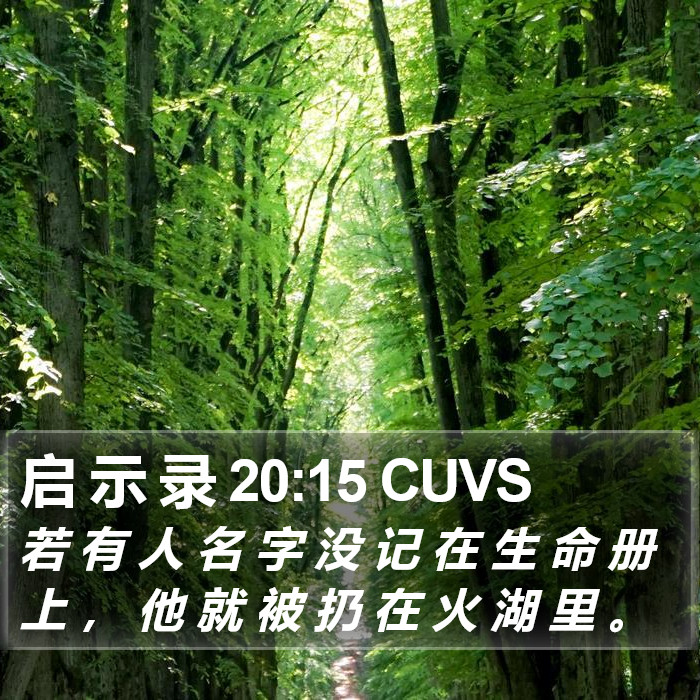 启 示 录 20:15 CUVS Bible Study