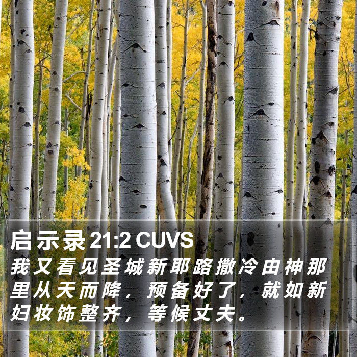 启 示 录 21:2 CUVS Bible Study