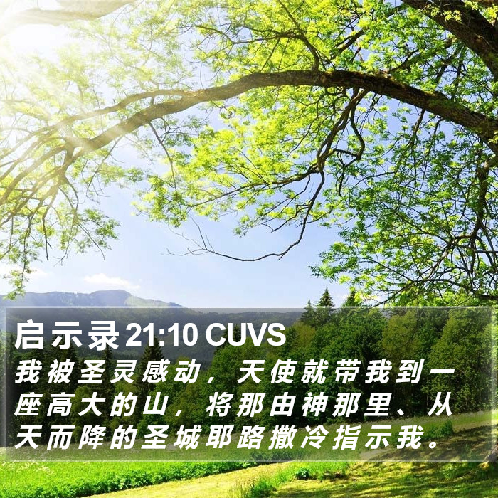 启 示 录 21:10 CUVS Bible Study