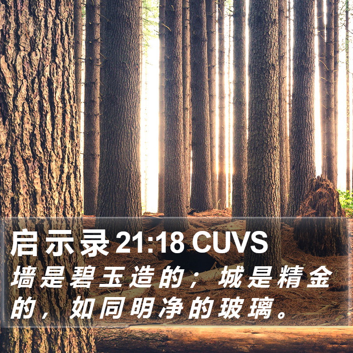 启 示 录 21:18 CUVS Bible Study