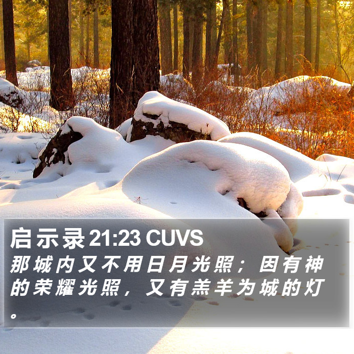 启 示 录 21:23 CUVS Bible Study