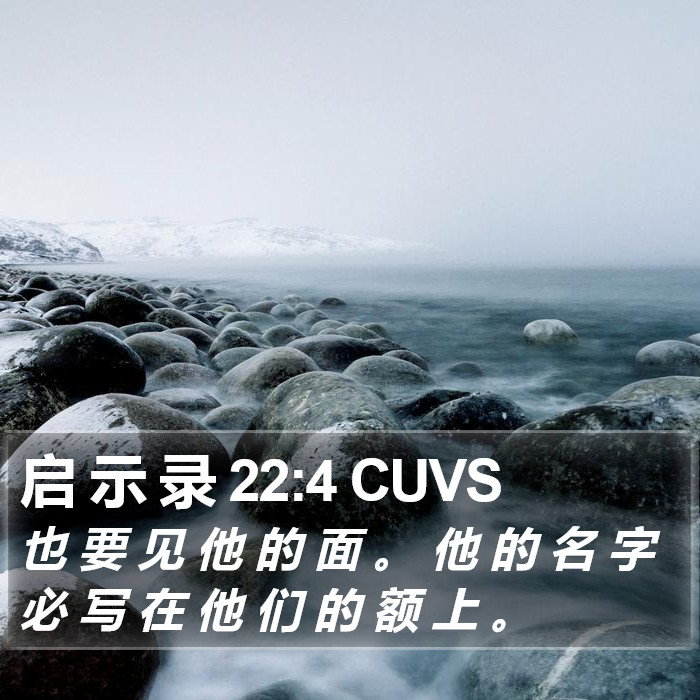 启 示 录 22:4 CUVS Bible Study