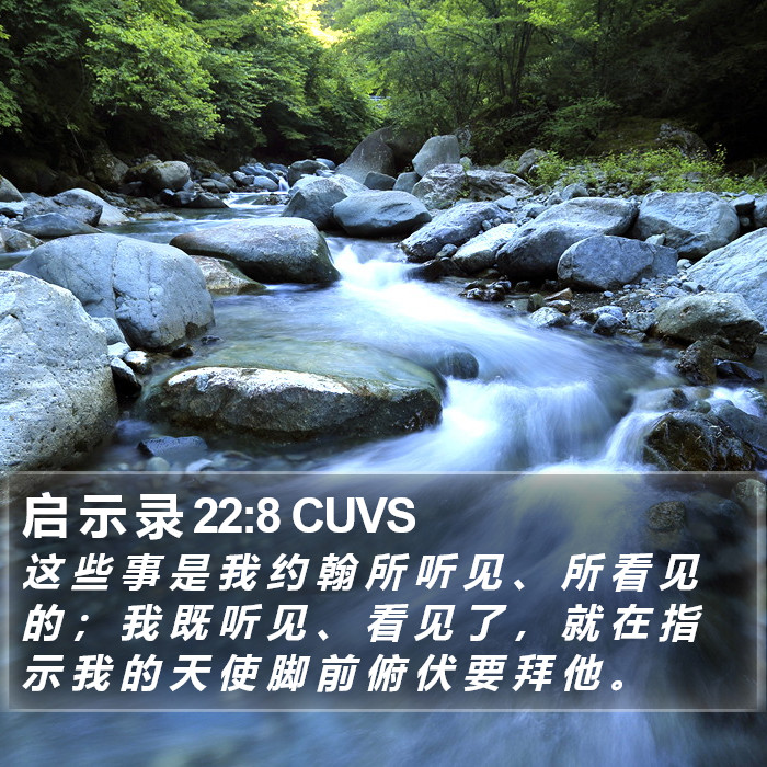 启 示 录 22:8 CUVS Bible Study