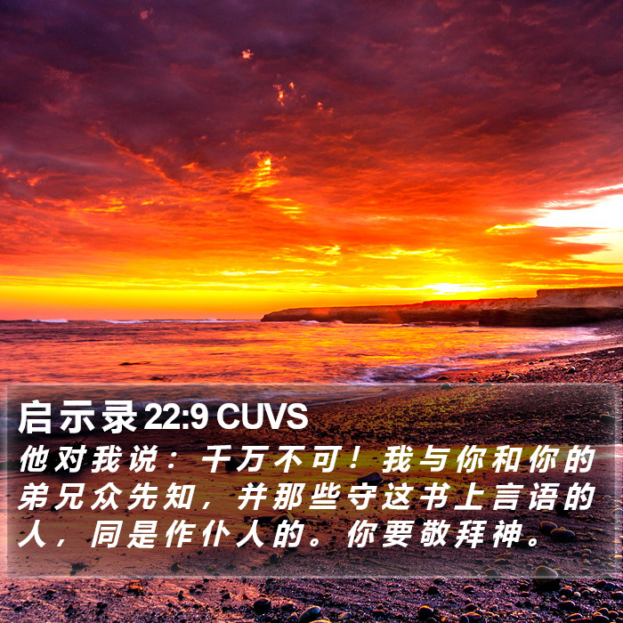 启 示 录 22:9 CUVS Bible Study