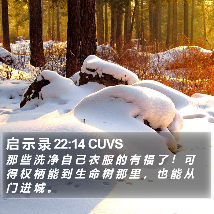 启 示 录 22:14 CUVS Bible Study